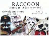 Raccoon At Arts Centre Poster